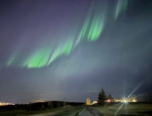 Vallarstjórahorni Kate í desember 2025