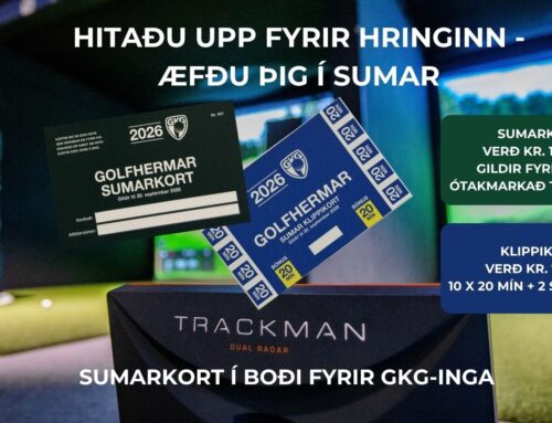 Sumarkort í hermana